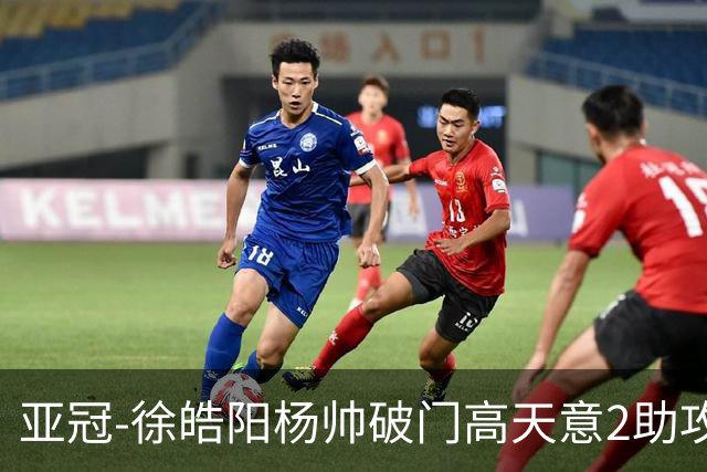 亚冠-徐皓阳杨帅破门高天意2助攻 申花2-1淡滨尼流浪者